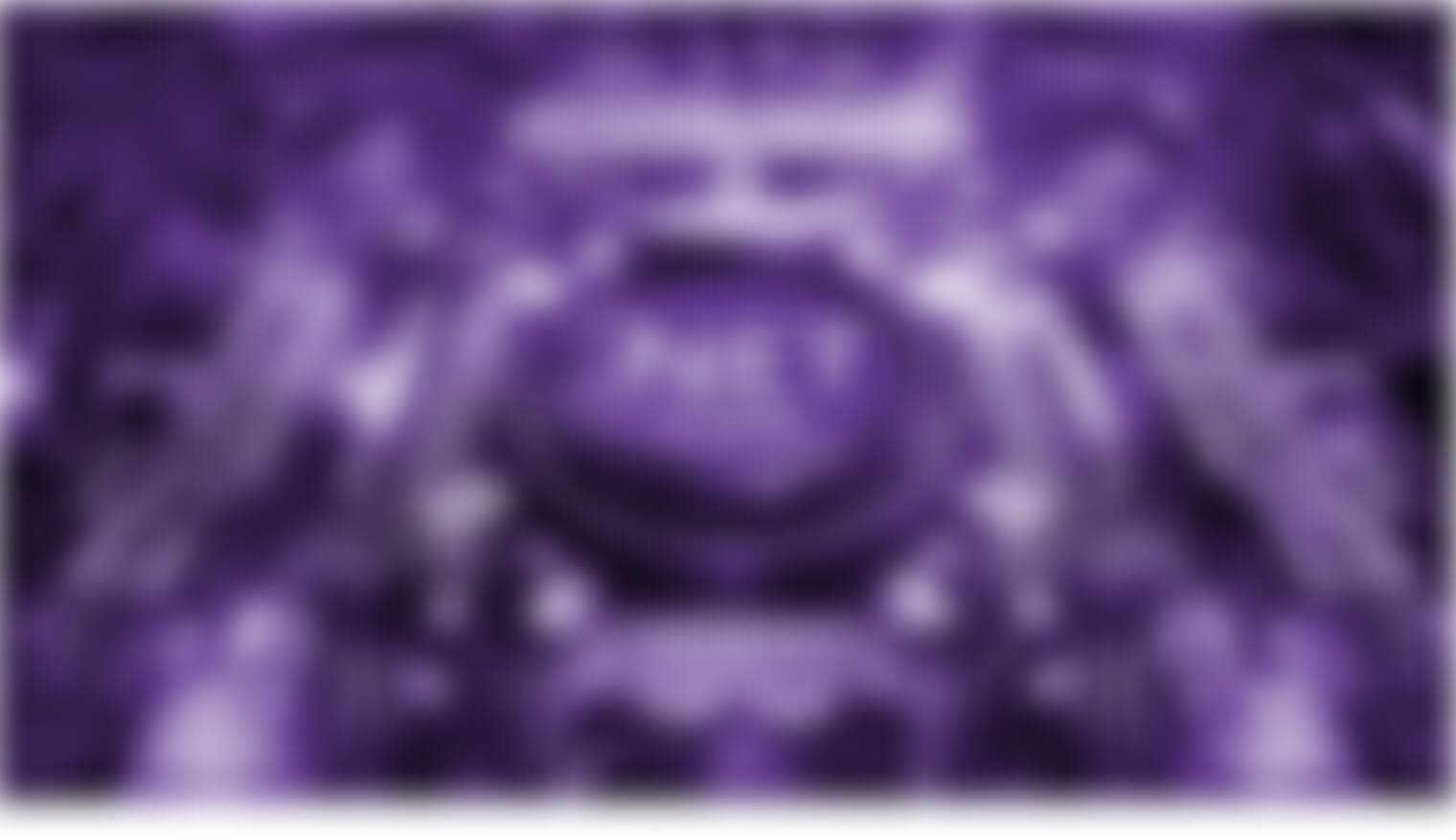 .Net development company usa