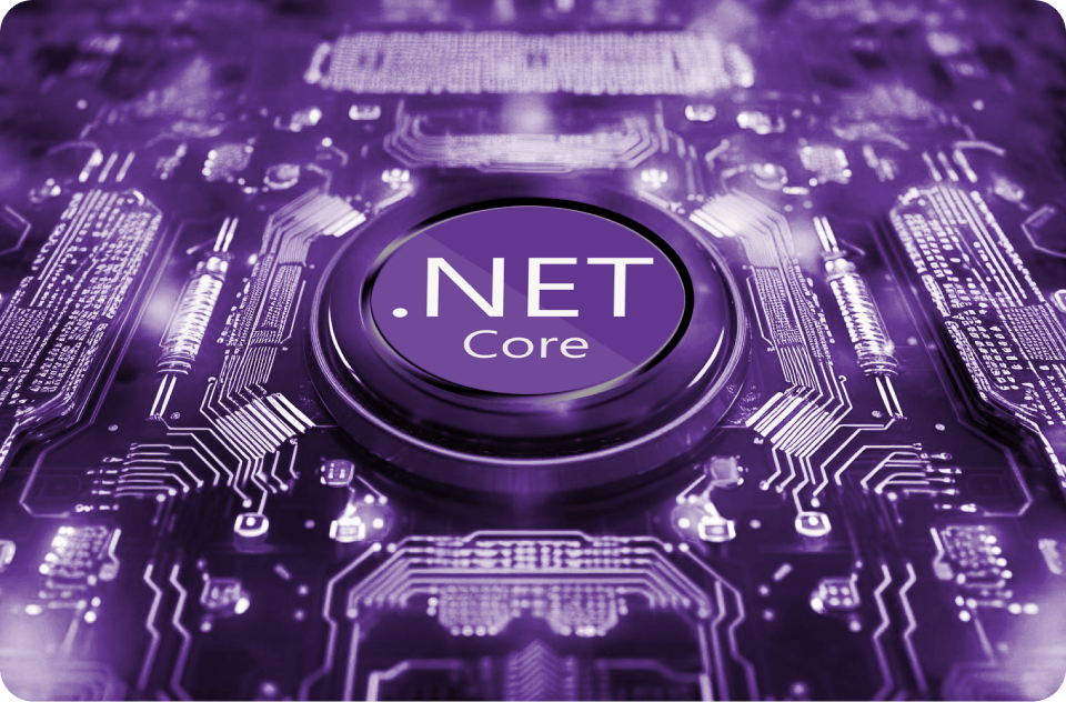 .Net development company usa